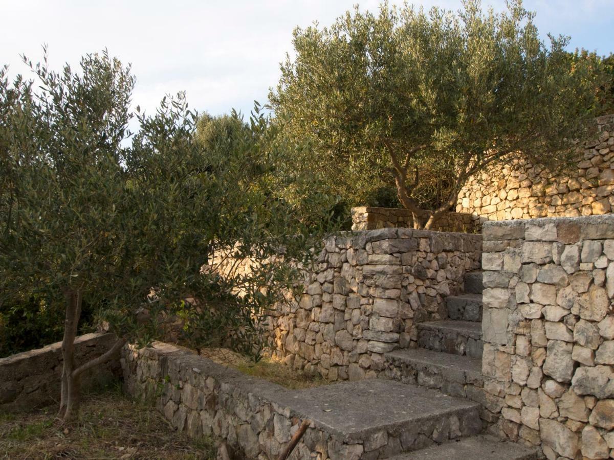 RažanjAldos House别墅 外观 照片